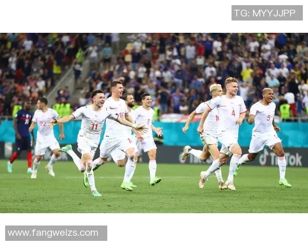 瑞士足球明星风采大揭秘带你走近绿茵场上的传奇人物