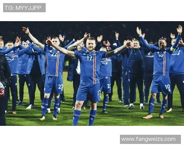 冰岛足球明星风采展示领略冰岛足球的魅力与激情